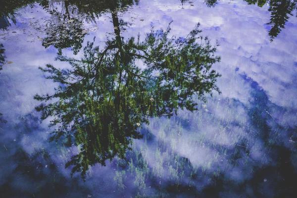 Website Redesign #222